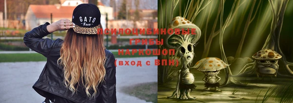 индика Алзамай