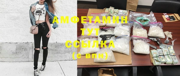 стаф Абаза