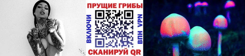 наркотики  Инза  Псилоцибиновые грибы Cubensis 